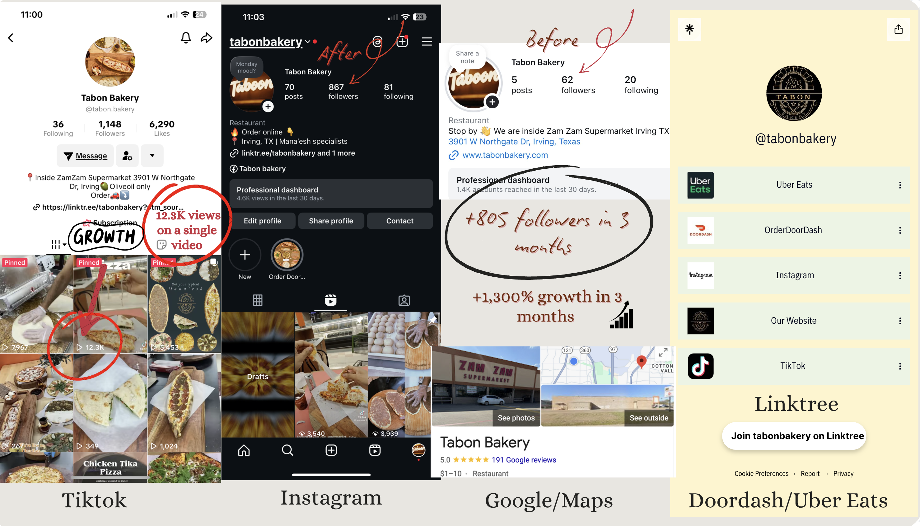 Social media growth case study preview